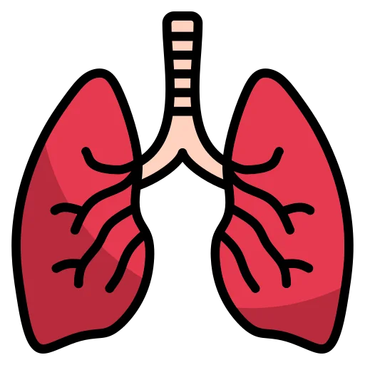 lungs